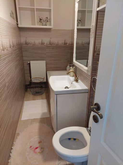 Apartmán Apartament In Sighetu Marmaţiei Exteriér fotografie