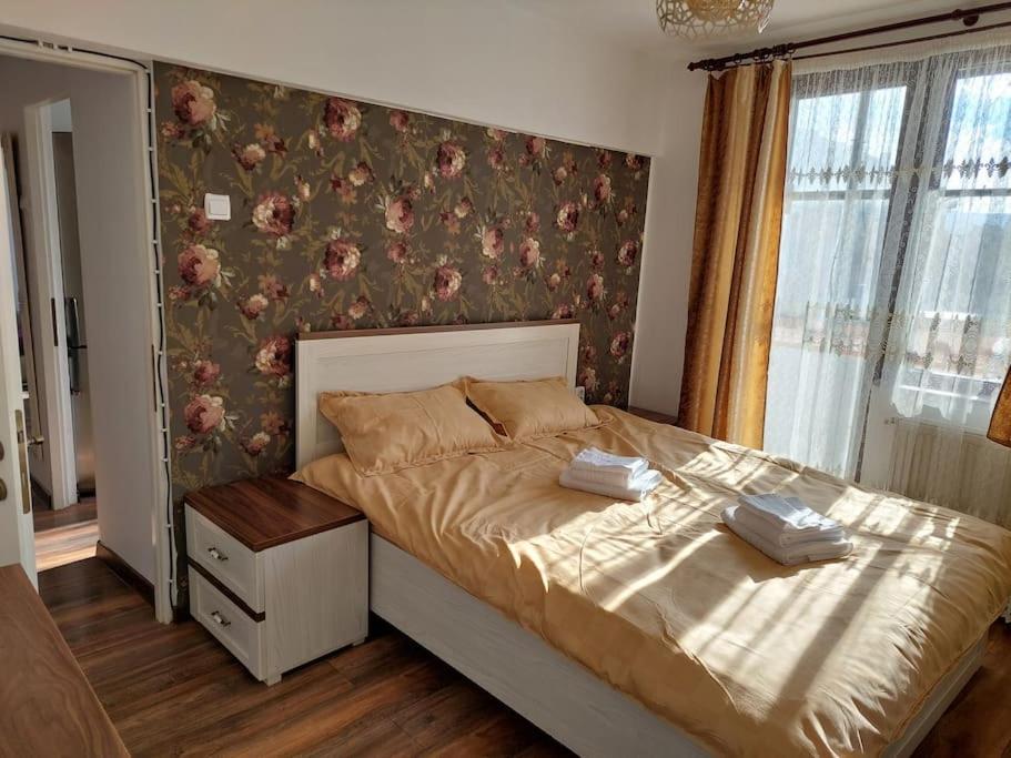 Apartmán Apartament In Sighetu Marmaţiei Exteriér fotografie