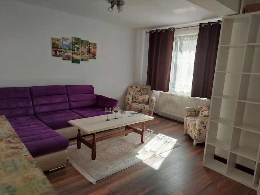 Apartmán Apartament In Sighetu Marmaţiei Exteriér fotografie