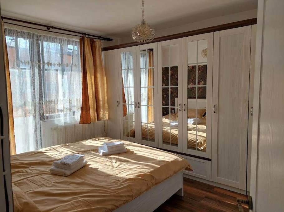 Apartmán Apartament In Sighetu Marmaţiei Exteriér fotografie